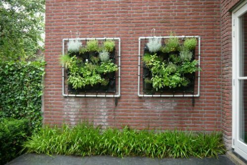 gebruik je muur voor een groene eetbare oase