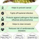 gezondheidsvoordelen wasabi
