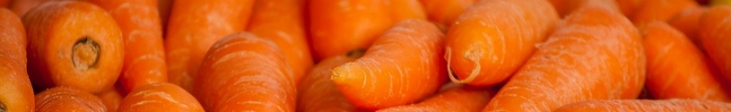 oranje groente - oranje wortelen