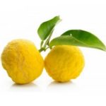 citrus vrucht Yuzu amarillo