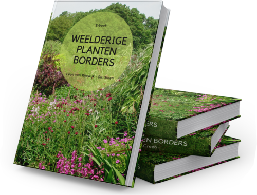 e-book weelderige planten borders